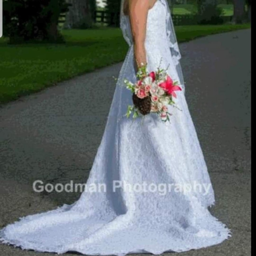 David's Bridal Wedding Dress